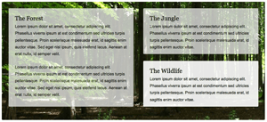 jQuery MooTools Opacity Animation