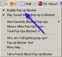 Popup Window