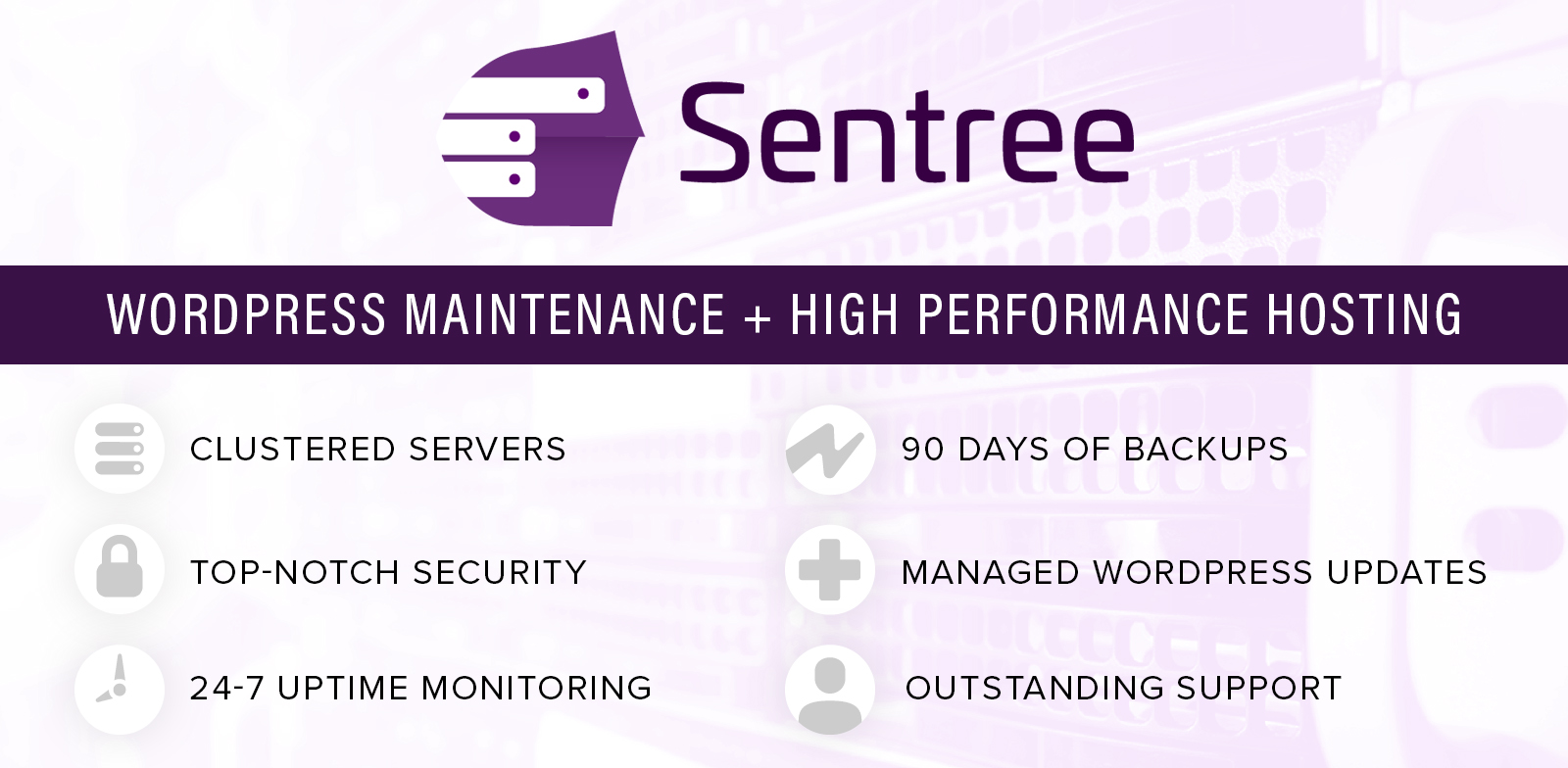 <span>Sentree Managed Hosting with WordPress Maintenance