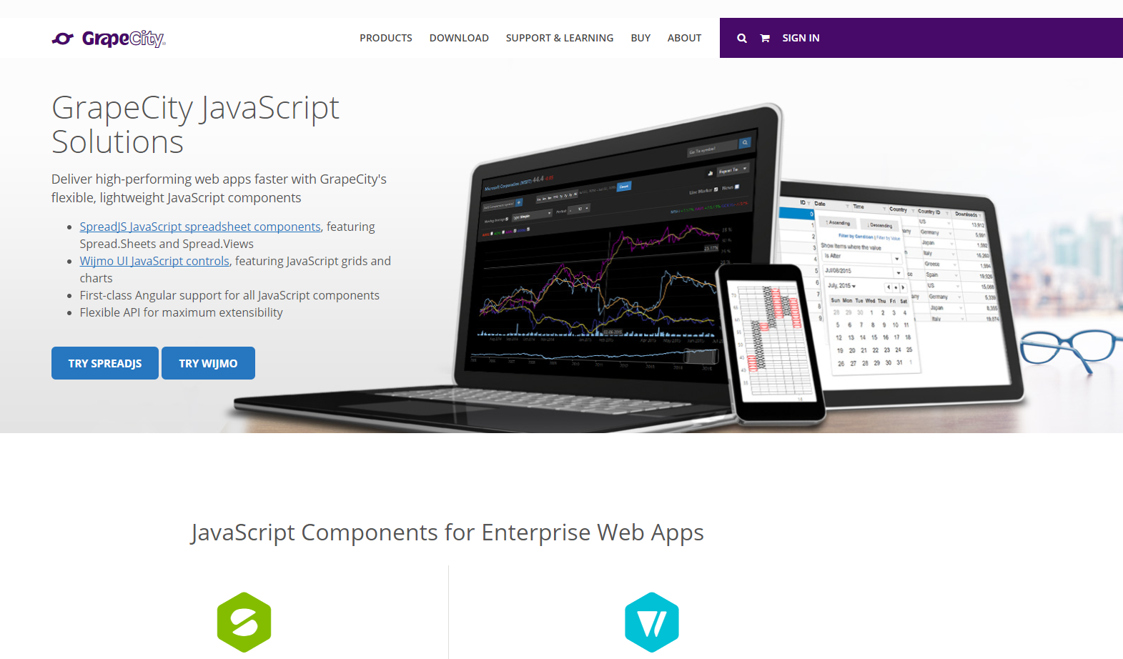 GrapeCity - JavaScript Solutions