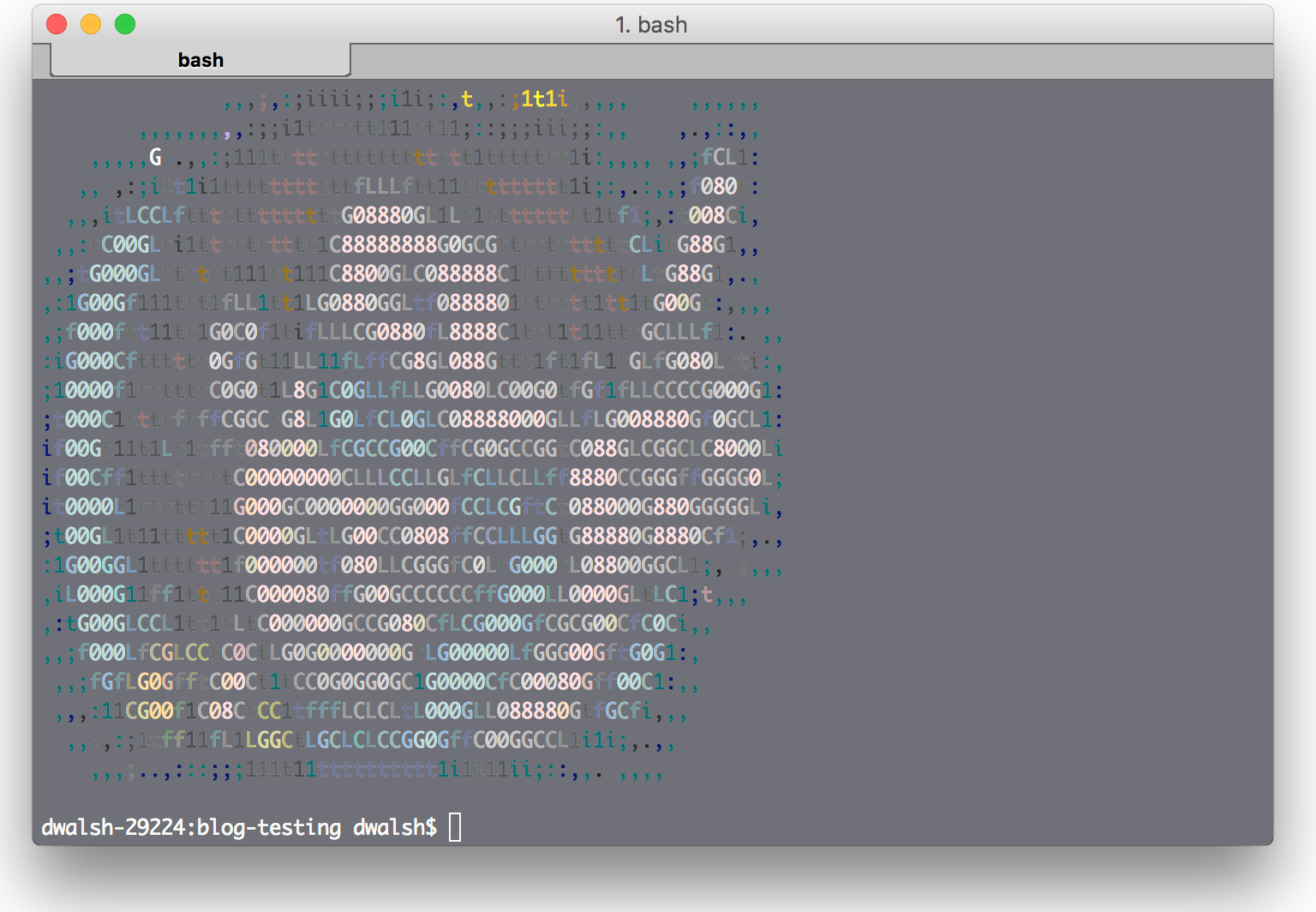 video ascii art