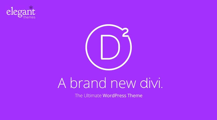 divi theme