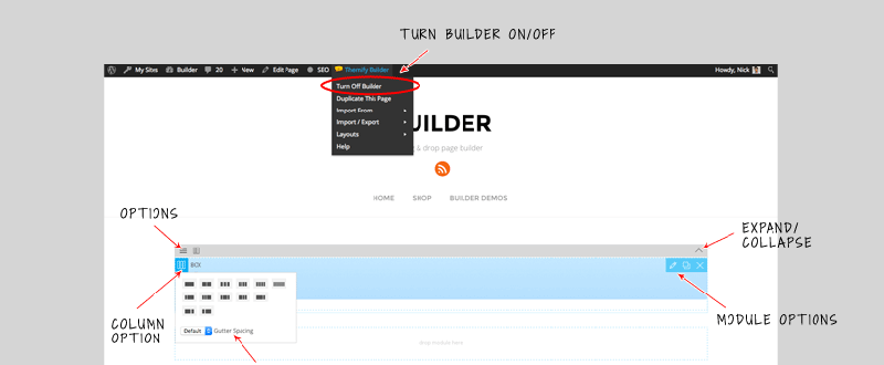 Themify Drag & Drop Builder